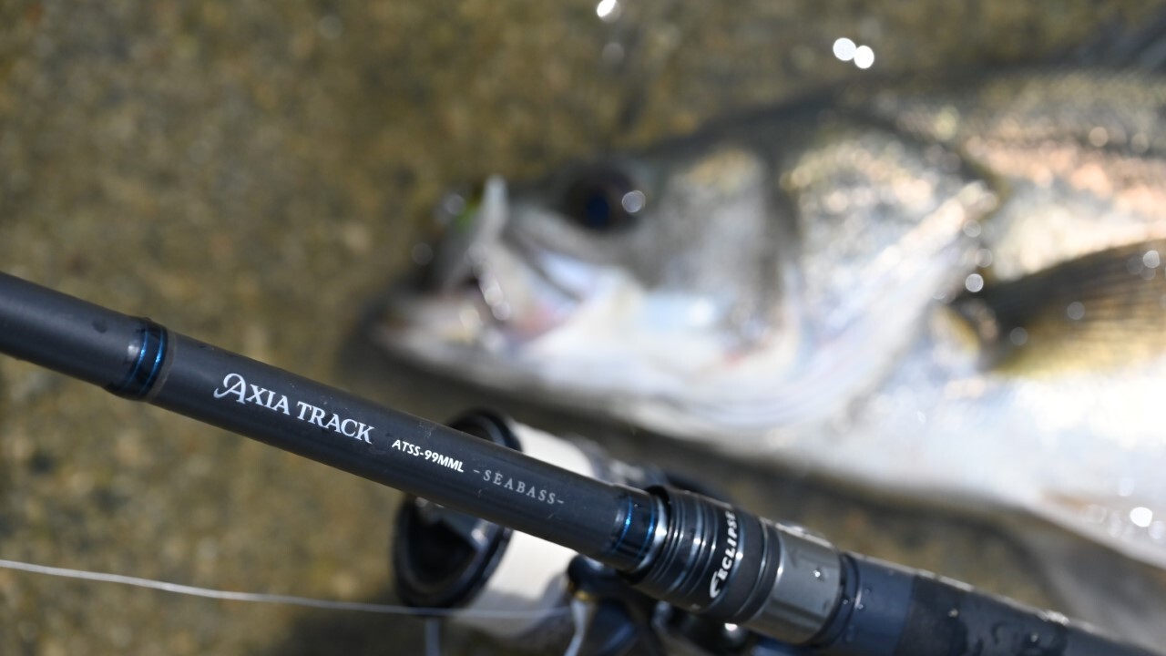 ダイワ　スティーズ　スペクター651MMHRB ダイワ スティーズ【651MMHRB スペクター】 - 越谷タックルアイランド